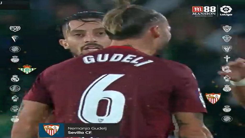 NemanjaGudelj
